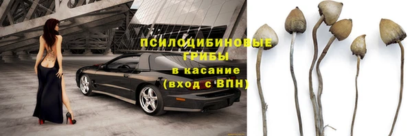 молекула духа Богданович
