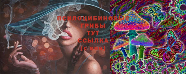 не бодяженный Белокуриха