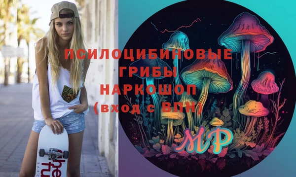 молекула духа Богданович