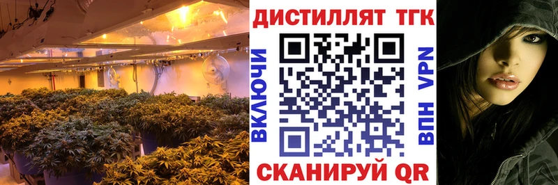 как найти закладки  Петрозаводск  Дистиллят ТГК THC oil 