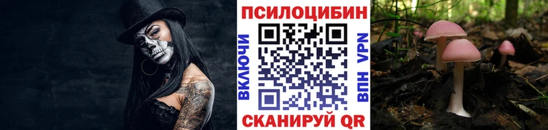 Псилоцибиновые грибы Cubensis  купить закладку  KRAKEN ссылка  Петрозаводск 